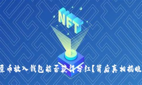 屎币放入钱包能否获得分红？背后真相揭晓！