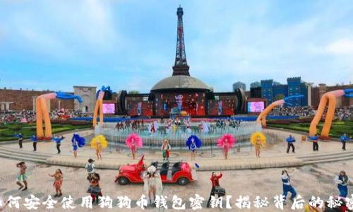 
如何安全使用狗狗币钱包密钥？揭秘背后的秘密！