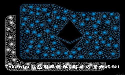 Tokenim钱包转账遇阻？解决方案大揭秘！