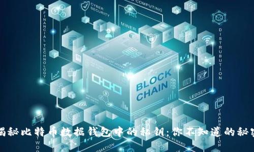 揭秘比特币数据钱包中的私钥:你不知道的秘密