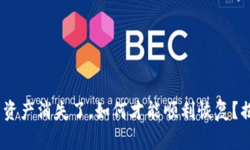 Tokenim钱包资产消失了，如何才能顺利恢复？揭秘恢复方法！