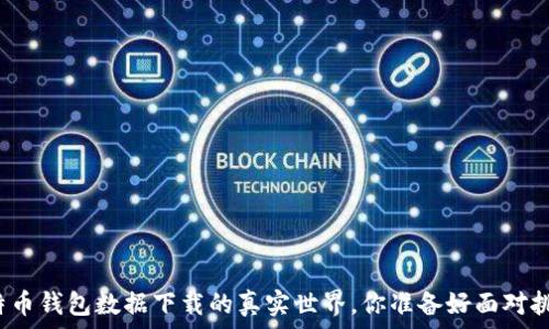   
揭秘比特币钱包数据下载的真实世界，你准备好面对挑战了吗？