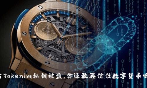 当Tokenim私钥被盗，你还敢再信任数字货币吗？