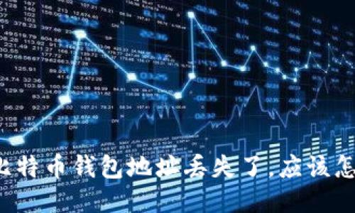 我的比特币钱包地址丢失了，应该怎么办？