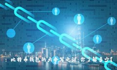 : 比特币钱包的大小写之谜