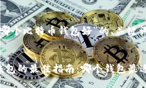 以下是针对“哪个比特币钱包好”的、关键词和内容大纲。


选择比特币钱包的最佳指南：哪个钱包最适合你？