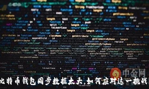   
比特币钱包同步数据太大，如何应对这一挑战？