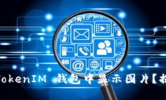 如何在 TokenTokenIM 钱包中显