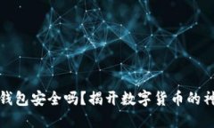 比特币钱包安全吗？揭开数字货币的神秘面纱