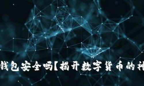比特币钱包安全吗？揭开数字货币的神秘面纱