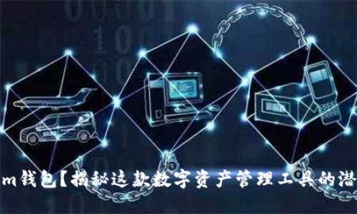 什么是Tokenim钱包？揭秘这款数字资产管理工具的潜在优势与风险