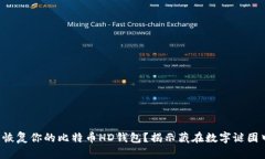 如何轻松恢复你的比特币