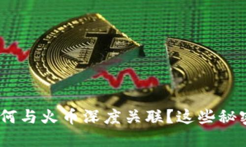 探索Tokenim如何与火币深度关联？这些秘密你一定想知道！