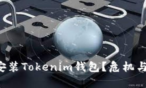 如何安全安装Tokenim钱包？危机与对策揭秘！