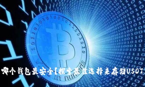 哪个钱包最安全？探索最佳选择来存储USDT