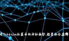 揭开Tokenim私募币的神秘面
