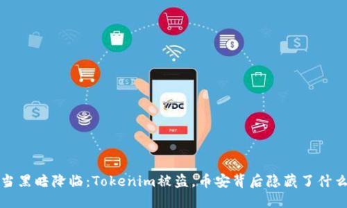  当黑暗降临：Tokenim被盗，币安背后隐藏了什么？