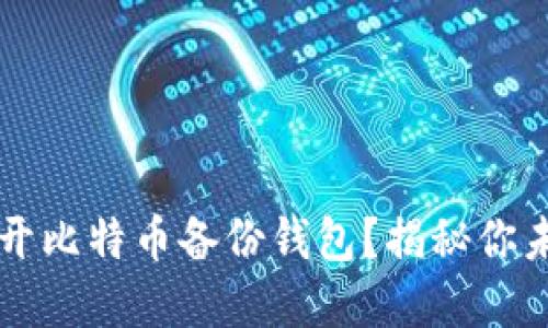 如何安全地打开比特币备份钱包？揭秘你未曾了解的细节