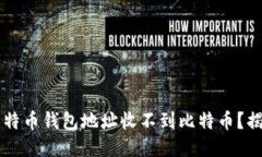 为什么我的比特币钱包地址收不到比特币？揭秘