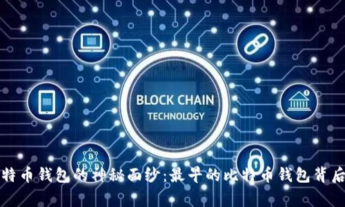 揭开比特币钱包的神秘面纱：最早的比特币钱包背后的故事