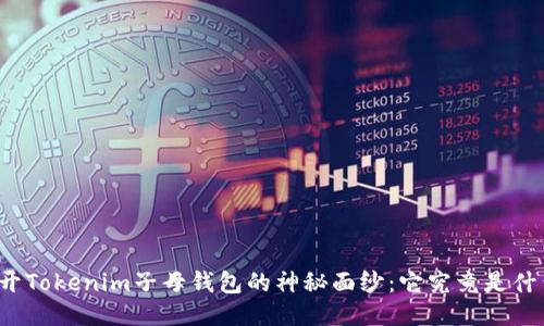 揭开Tokenim子母钱包的神秘面纱：它究竟是什么？