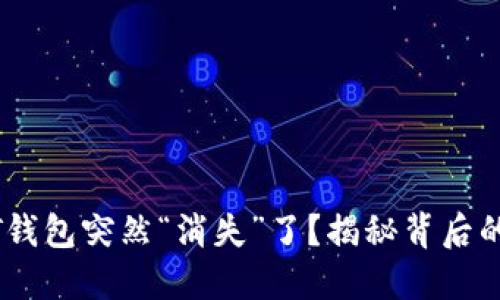 为什么你的USDT钱包突然“消失”了？揭秘背后的秘密与解决方案