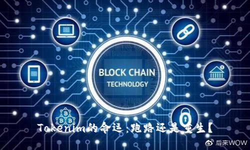 Tokenim的命运：跑路还是重生？