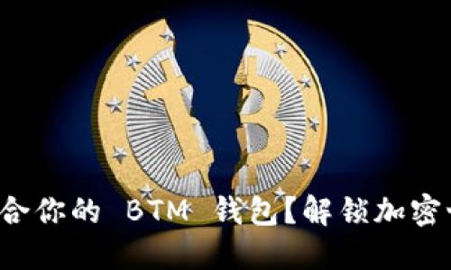 如何选择适合你的 BTM 钱包？解锁加密世界的秘密！