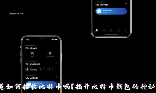   
你知道如何接收比特币吗？揭开比特币钱包的神秘面纱！