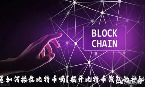   
你知道如何接收比特币吗？揭开比特币钱包的神秘面纱！