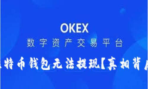 为什么你的比特币钱包无法提现？真相背后隐藏的秘密！