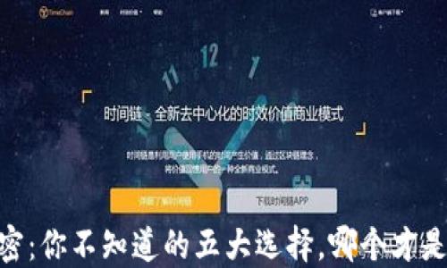 
USDT钱包的秘密：你不知道的五大选择，哪个才是你的最佳伴侣？