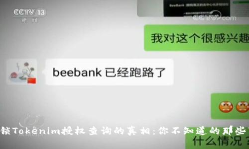 解锁Tokenim授权查询的真相：你不知道的那些事！