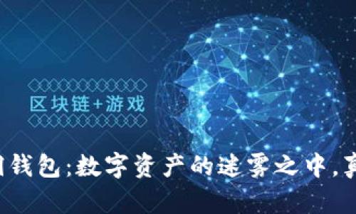 比特币与黑洞钱包：数字资产的迷雾之中，真相究竟何在？