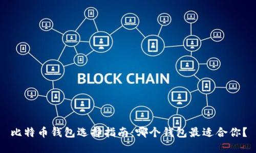 比特币钱包选择指南：哪个钱包最适合你？