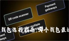 比特币钱包选择指南：哪