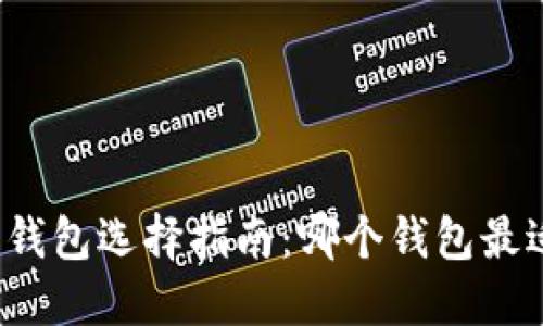 比特币钱包选择指南：哪个钱包最适合你？