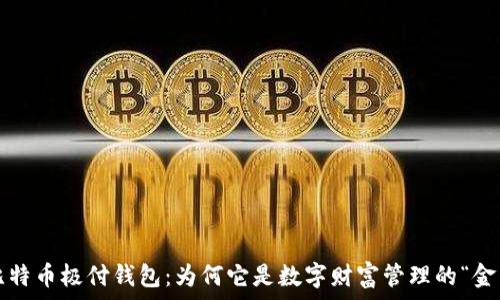   
探索比特币极付钱包：为何它是数字财富管理的“金钥匙”？