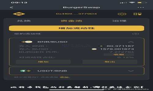 比特币钱包的种类解析：哪种最适合你？