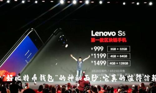 揭开“好比特币钱包”的神秘面纱：它真的值得信赖吗？