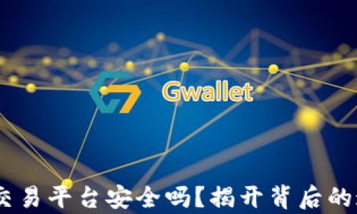 
USDT钱包交易平台安全吗？揭开背后的迷雾与真相