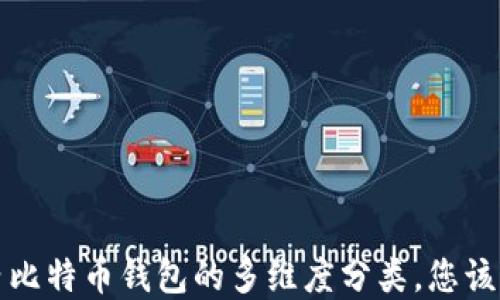 探索国内比特币钱包的多维度分类,您该如何选择?