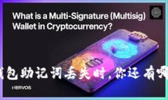 当你的Tokenim钱包助记词丢