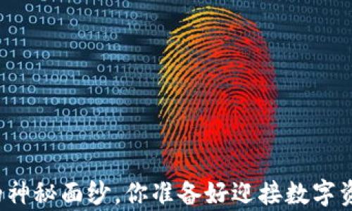 
揭开比特币钱包的神秘面纱，你准备好迎接数字资产的财富之旅吗？