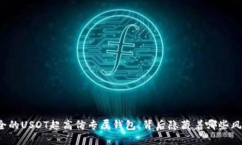 揭秘最安全的USDT超高仿专属钱包，背后隐藏着哪些风险与机遇？