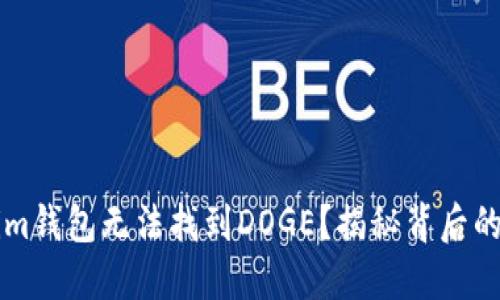 为什么在Tokenim钱包无法找到DOGE？揭秘背后的原因与解决方案