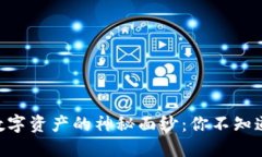 揭开Tokenim数字资产的神秘