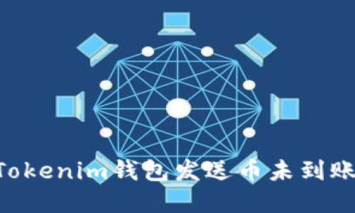 解决TokenTokenim钱包发送币未到账的详细攻略