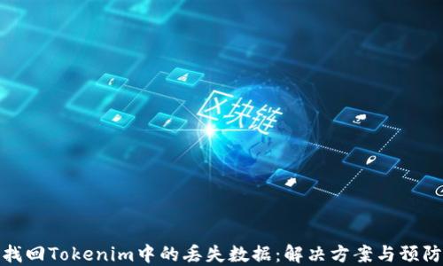 如何找回Tokenim中的丢失数据:解决方案与预防措施