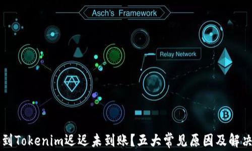 
转账到Tokenim迟迟未到账？五大常见原因及解决方案